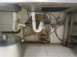 Trus hlodavců a zanedbaný úklid v asijském bistru v Olympii. Potravinářská inspekce ho zavřela