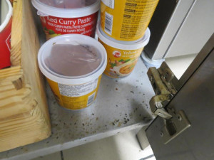 Trus hlodavců a zanedbaný úklid v asijském bistru v Olympii. Potravinářská inspekce ho zavřela