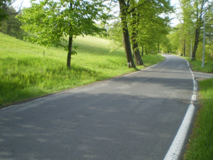 Šetrné kácení v Jeseníku. Na hřbitově město před pěti lety vysadilo habry, až nyní jdou k zemi staré lípy