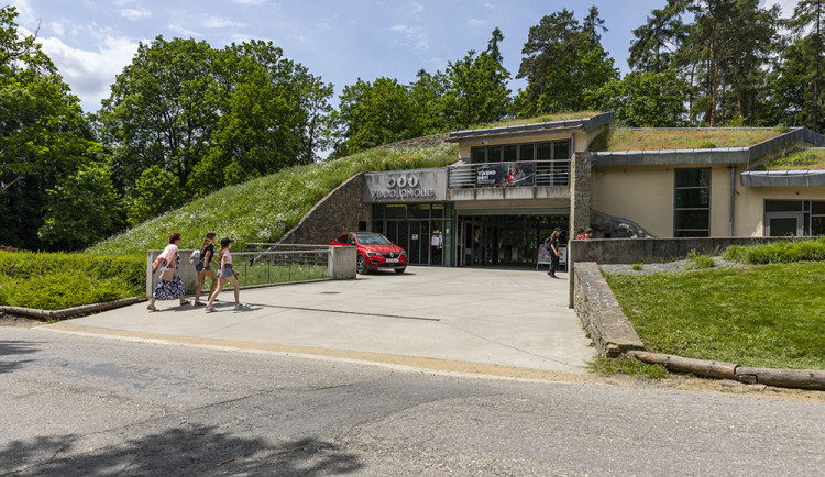 Nejvyšší návštěvnost za čtvrt století. Zoo Olomouc hlásí úspěšný rok a plánuje další investice