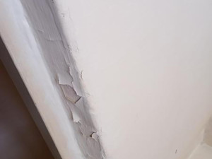 Znečištěné prostory i trus hlodavců. Inspektoři zavřeli kuchyň restaurace v centru Prostějova