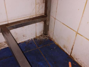 Znečištěné prostory i trus hlodavců. Inspektoři zavřeli kuchyň restaurace v centru Prostějova