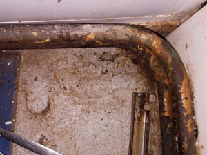 Znečištěné prostory i trus hlodavců. Inspektoři zavřeli kuchyň restaurace v centru Prostějova