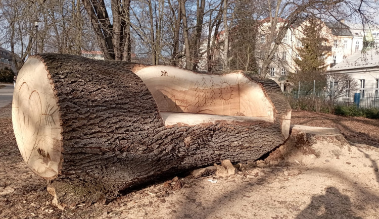 Obří lavička v Čechových sadech budí pozornost. Je vyrobená ze sto padesát let starého padlého jasanu