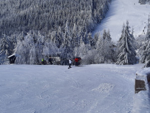 Svědci vyfotili motorky, které o víkendu pustošily hřebeny Jeseníků. Lidé si stěžovali na smrad a hluk