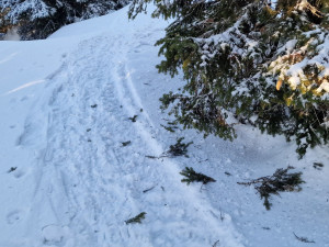 Svědci vyfotili motorky, které o víkendu pustošily hřebeny Jeseníků. Lidé si stěžovali na smrad a hluk