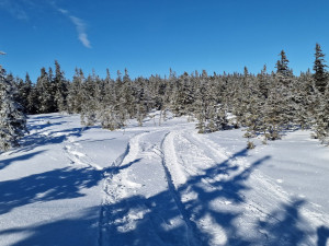 Svědci vyfotili motorky, které o víkendu pustošily hřebeny Jeseníků. Lidé si stěžovali na smrad a hluk