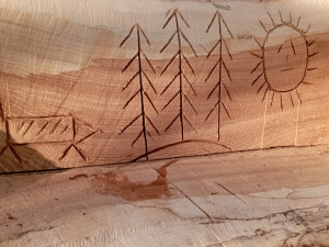 Obří lavička v Čechových sadech budí pozornost. Je vyrobená ze sto padesát let starého padlého jasanu