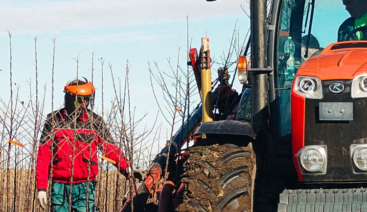 Kofola zachránila Pragerovy sady v Libině, kterým hrozilo vykácení. Z jablek bude vyrábět cidery
