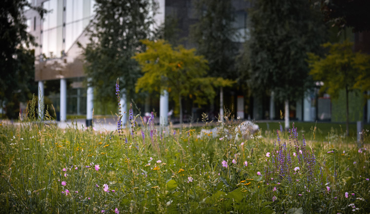 fakulty_a_recyklace_003