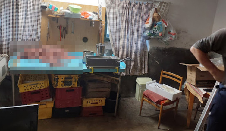 Strážníci Městské policie Šumperk řešili případ nelegálního zpracovávání masa v prádelně bytového domu