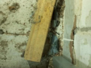 Inspektoři zavřeli potraviny v Kostelci na Hané. Uvnitř obchodu byly mrtvé myši a špína, úklid byl zanedbaný