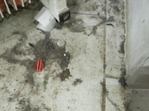 Inspektoři zavřeli potraviny v Kostelci na Hané. Uvnitř obchodu byly mrtvé myši a špína, úklid byl zanedbaný