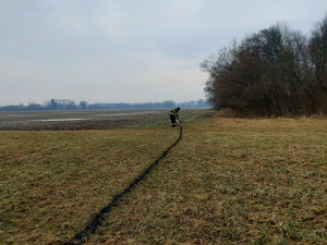 Zloděj znečistil louku v Litovelském Pomoraví motorovým olejem. Přijel sem krást dřevo