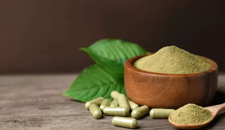 Vedení Prostějova usiluje o omezení prodeje kratomu ve městě. Jedná s majiteli nemovitostí