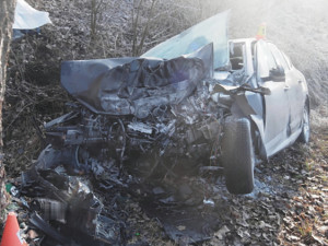 Policie hledá svědky tragické nehody na Olomoucku. Řidič zemřel po nárazu do stromu