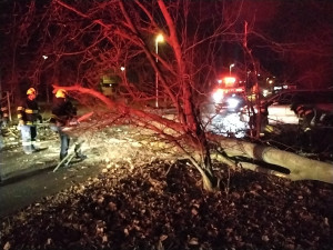Vichr zasáhl i Olomoucký kraj. Na Šumpersku narazil vlak do padlého stromu