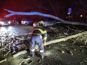 Vichr zasáhl i Olomoucký kraj. Na Šumpersku narazil vlak do padlého stromu