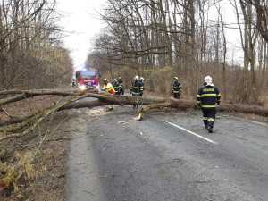 Vichr zasáhl i Olomoucký kraj. Na Šumpersku narazil vlak do padlého stromu