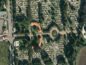 Šestadvacet lip na hlavní aleji na hřbitově v Prostějově čeká kácení. Jde o plánované rozvolnění