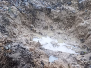 Pejsek Benny ze Šumperska, kterého někdo postřelil a zahrabal, už stojí na nohou. Nyní je v záchranné stanici