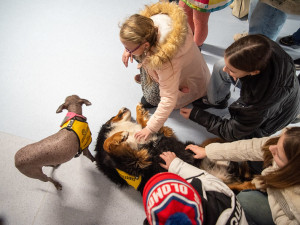 Studenti a učitelé olomouckého gymnázia uspořádali sbírku na canisterapii. Vynesla 80 tisíc korun