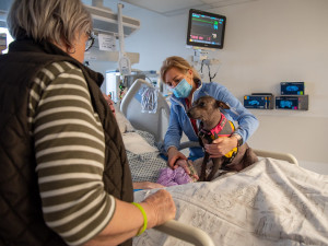 Studenti a učitelé olomouckého gymnázia uspořádali sbírku na canisterapii. Vynesla 80 tisíc korun