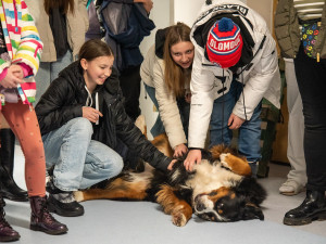 Studenti a učitelé olomouckého gymnázia uspořádali sbírku na canisterapii. Vynesla 80 tisíc korun