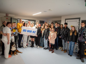 Studenti a učitelé olomouckého gymnázia uspořádali sbírku na canisterapii. Vynesla 80 tisíc korun