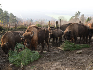 Roční náklady na krmiva v Zoo Olomouc stouply o milion korun