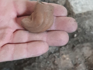 Horní náměstí v Přerově bylo hojně osídlené již v době bronzové. Potvrzují to poslední vykopávky