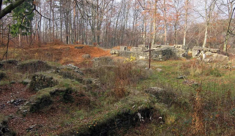 DRBNA HISTORIČKA:  Kartouzka v Dolanech. Dnes jsou to ruiny v křoví, ve středověku zde žili zazdění mniši