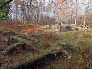 DRBNA HISTORIČKA:  Kartouzka v Dolanech. Dnes jsou to ruiny v křoví, ve středověku zde žili zazdění mniši