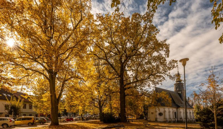 Nové cesty, lavičky, zeleň a sochy. S Horáckou arénou Jihlava plánuje upravit i přilehlý park