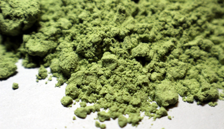 HHC automaty v Olomouckém kraji. Města problematiku řešila už delší dobu