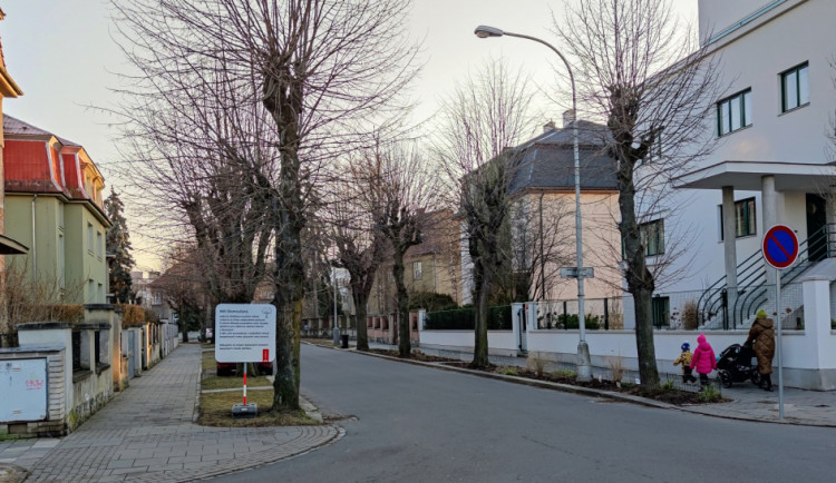 V lokalitách ořezů stromů jsou v Olomouci nově umístěné informační tabule