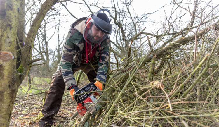 Michal Přecechtěl pokračuje v práci svého zesnulého kamaráda a věnuje se udržování starého sadu u Šternberku