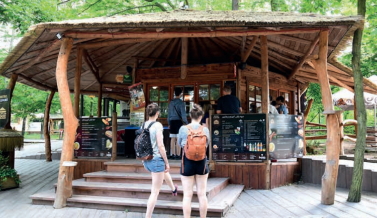 Káva, nanuky či burgery. Zoo Olomouc loni utržila za občerstvení 24 milionů korun