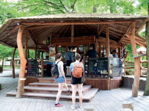 Káva, nanuky či burgery. Zoo Olomouc loni utržila za občerstvení 24 milionů korun