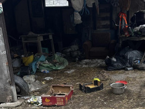 Pokálené obydlí, paraziti a nedostatek krmiva. Inspektoři objevili na Litovelsku zubožené psy a ovce