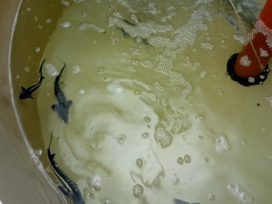 TIP NA VÍKEND: Byl protiatomový bunkr v Přáslavicích soběstačný, pokud jde o vodu? Odpoví speciální prohlídka