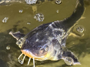 TIP NA VÍKEND: Byl protiatomový bunkr v Přáslavicích soběstačný, pokud jde o vodu? Odpoví speciální prohlídka