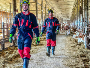 Hasiči na Šumpersku nacvičovali manipulaci s hospodářskými zvířaty