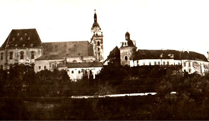 Areál sídla olomouckých Přemyslovců v 19. století