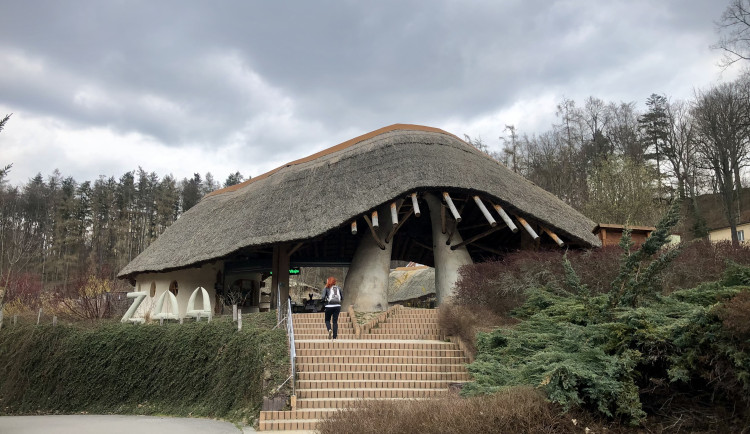 Za vstup do Zoo Jihlava si lidé připlatí. Rehkovi sem mohou na Den ptactva zdarma