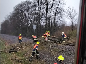 Silný vítr lámal v Olomouckém kraji stromy. Padaly na elektrické dráty, koleje a v Bystrovanech ohrožovaly dům