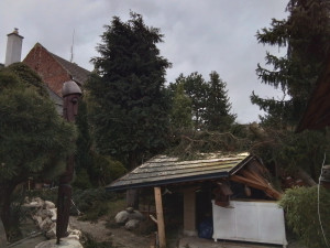 Silný vítr lámal v Olomouckém kraji stromy. Padaly na elektrické dráty, koleje a v Bystrovanech ohrožovaly dům