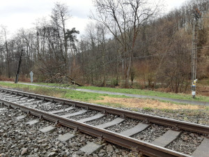 Silný vítr lámal v Olomouckém kraji stromy. Padaly na elektrické dráty, koleje a v Bystrovanech ohrožovaly dům