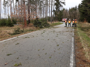 Silný vítr lámal v Olomouckém kraji stromy. Padaly na elektrické dráty, koleje a v Bystrovanech ohrožovaly dům