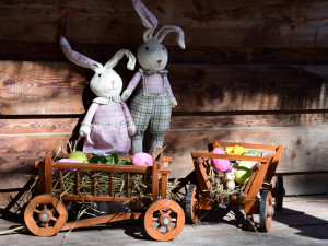 Zoo Olomouc o Velikonocích znásobila loňskou návštěvu, lákalo počasí i tematický program